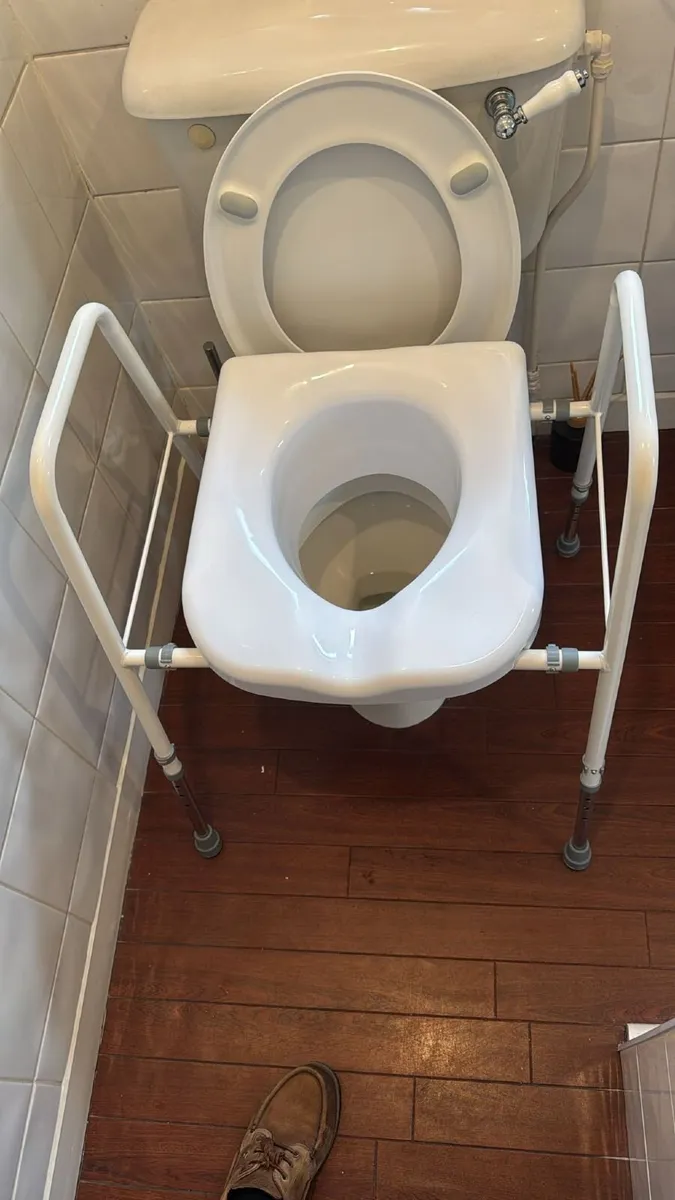President Raised Toilet and Frame - Image 1