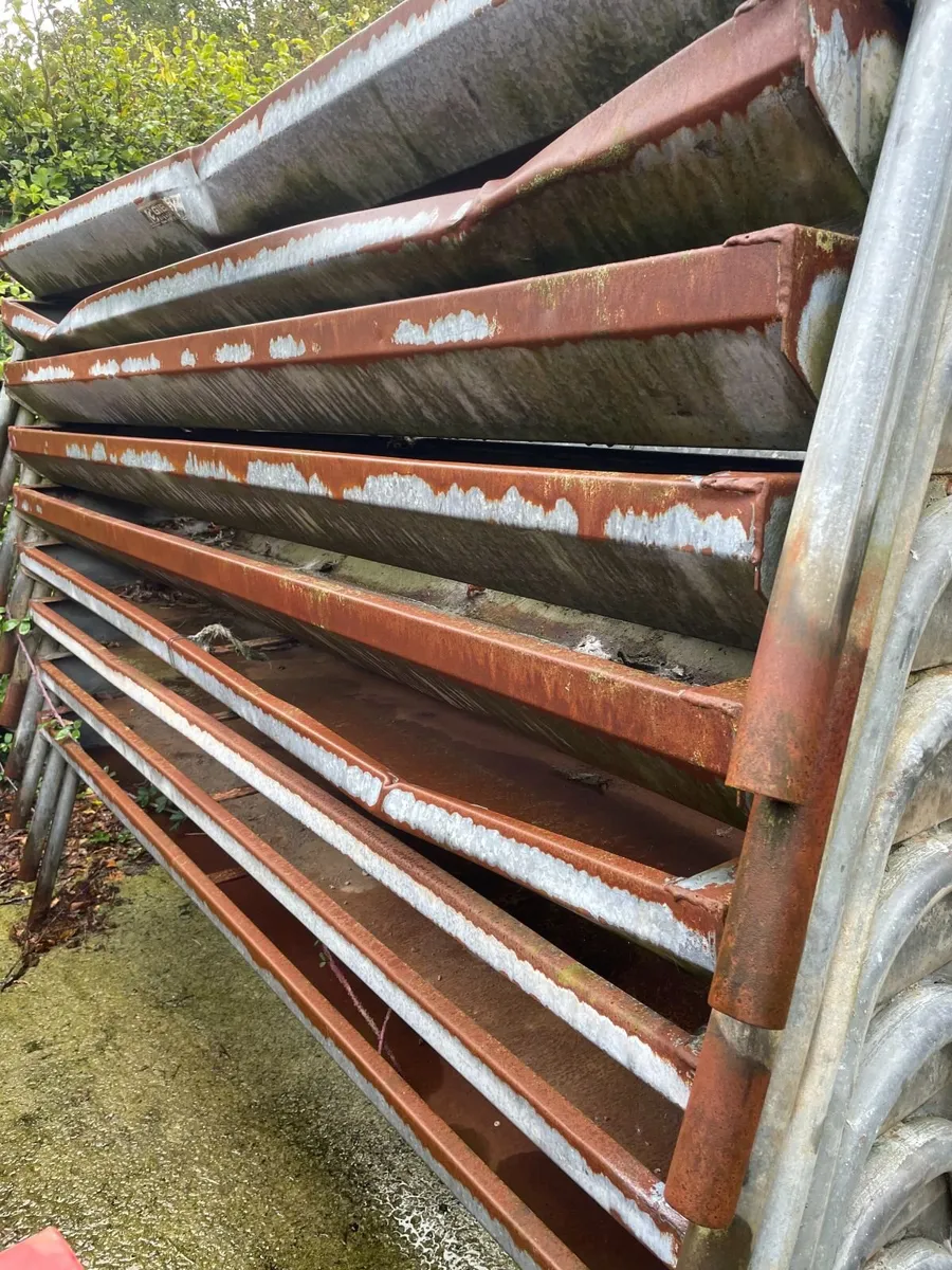 Heavy duty cattle feed troughs (10 units) - Image 2