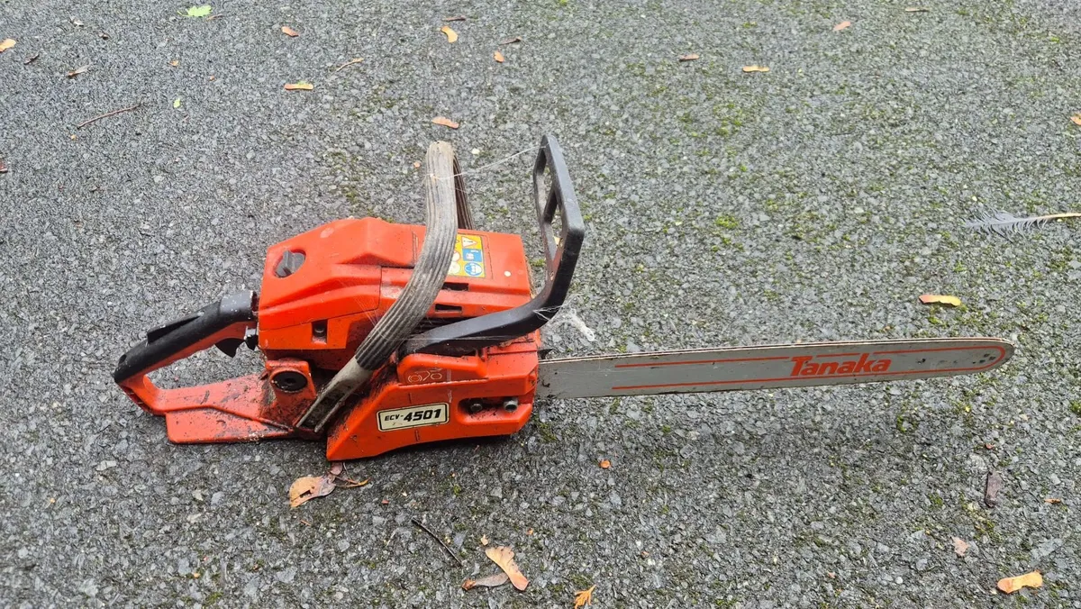 8 Nr Chainsaws & 1 Nr Hedge Trimmers - Image 3