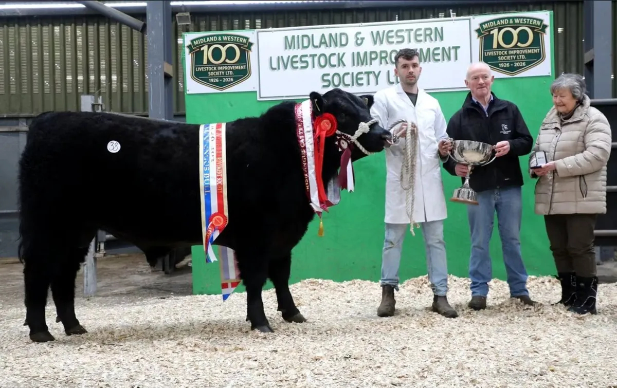 Carrick-on-Shannon Autumn Mixed Breed Show & Sale - Image 1