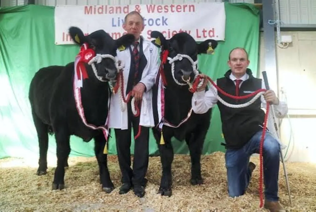 Carrick-on-Shannon Autumn Mixed Breed Show & Sale - Image 3