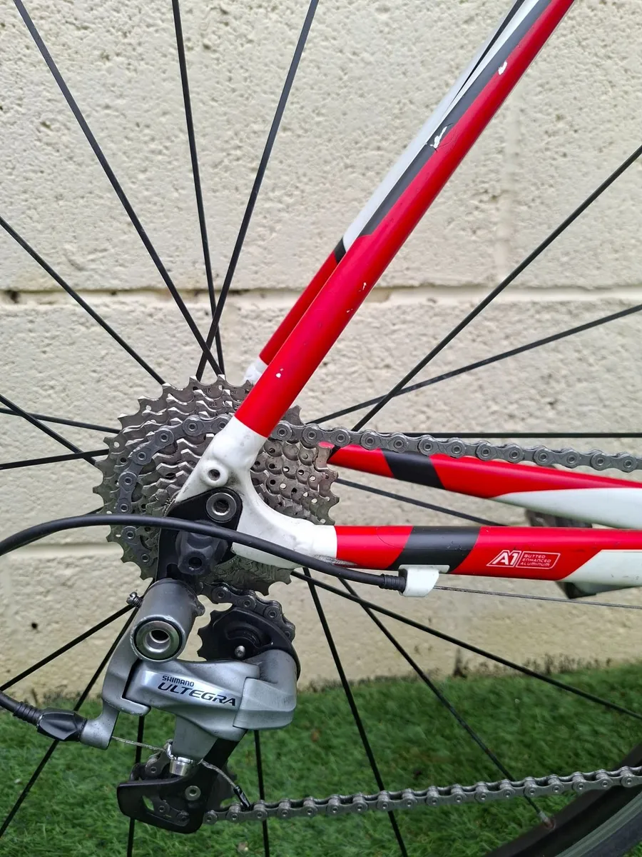 Specialized Allez Road Bike - Image 4