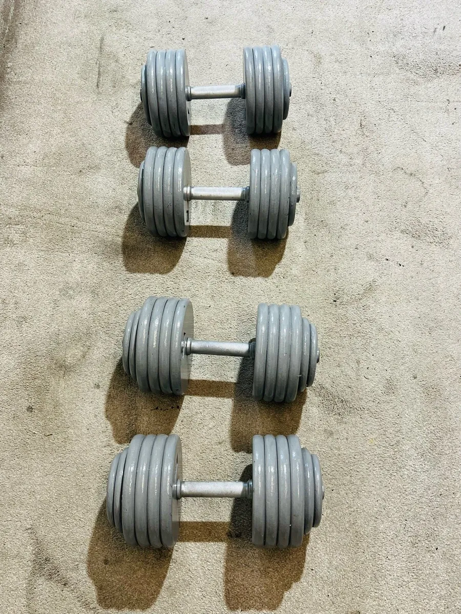 183KG HEAVY DUTY DUMBBELLS - Image 1
