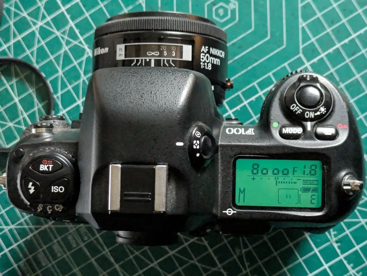 🎞️ Nikon F100 - Image 3