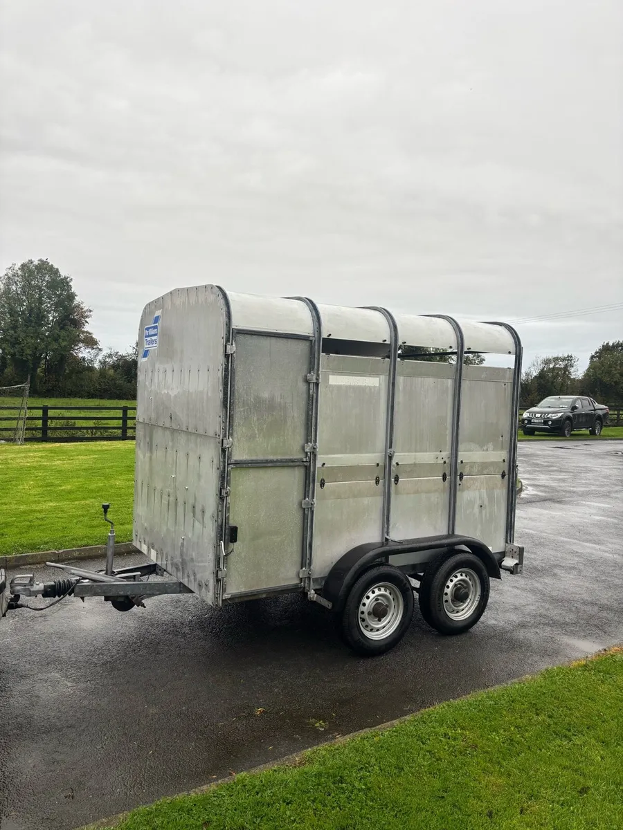 8 foot cattle trailer - Image 2