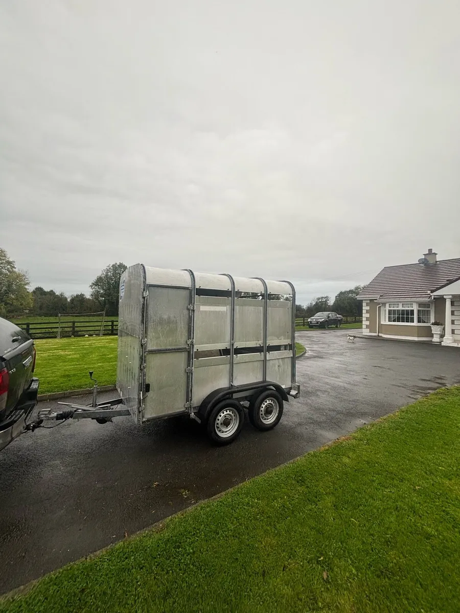 8 foot cattle trailer - Image 3