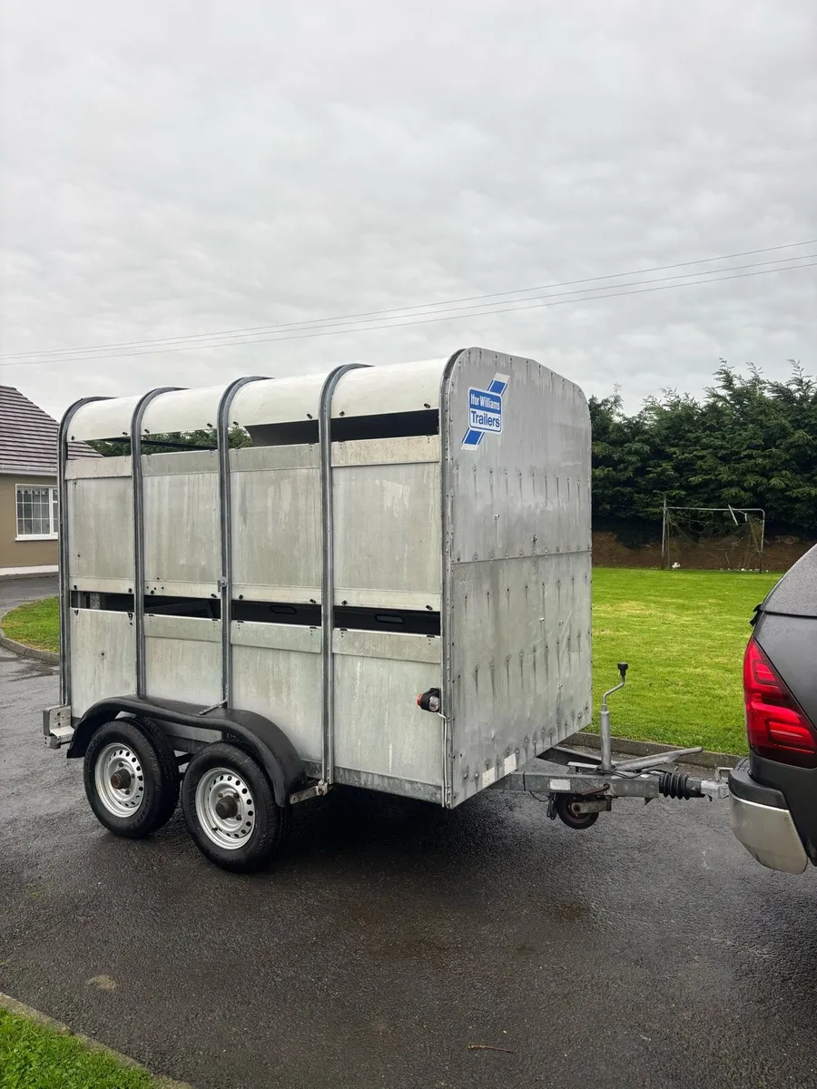 8 foot cattle trailer - Image 1