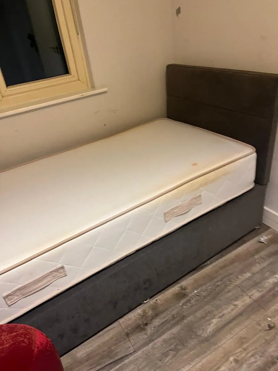 Single bed, double bed, Queen size bed - Image 3