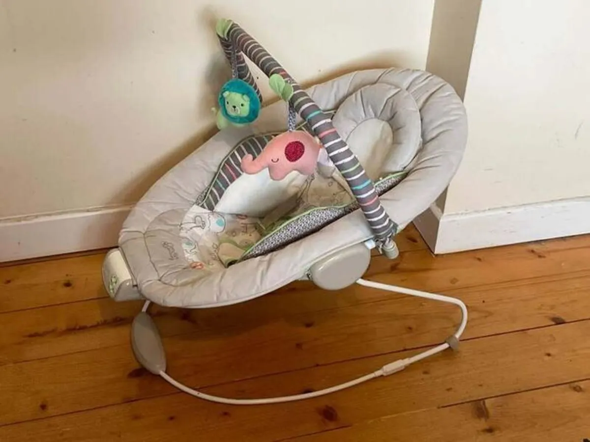 Comfort & Harmony Baby Bouncer With Toy Bar - Image 1