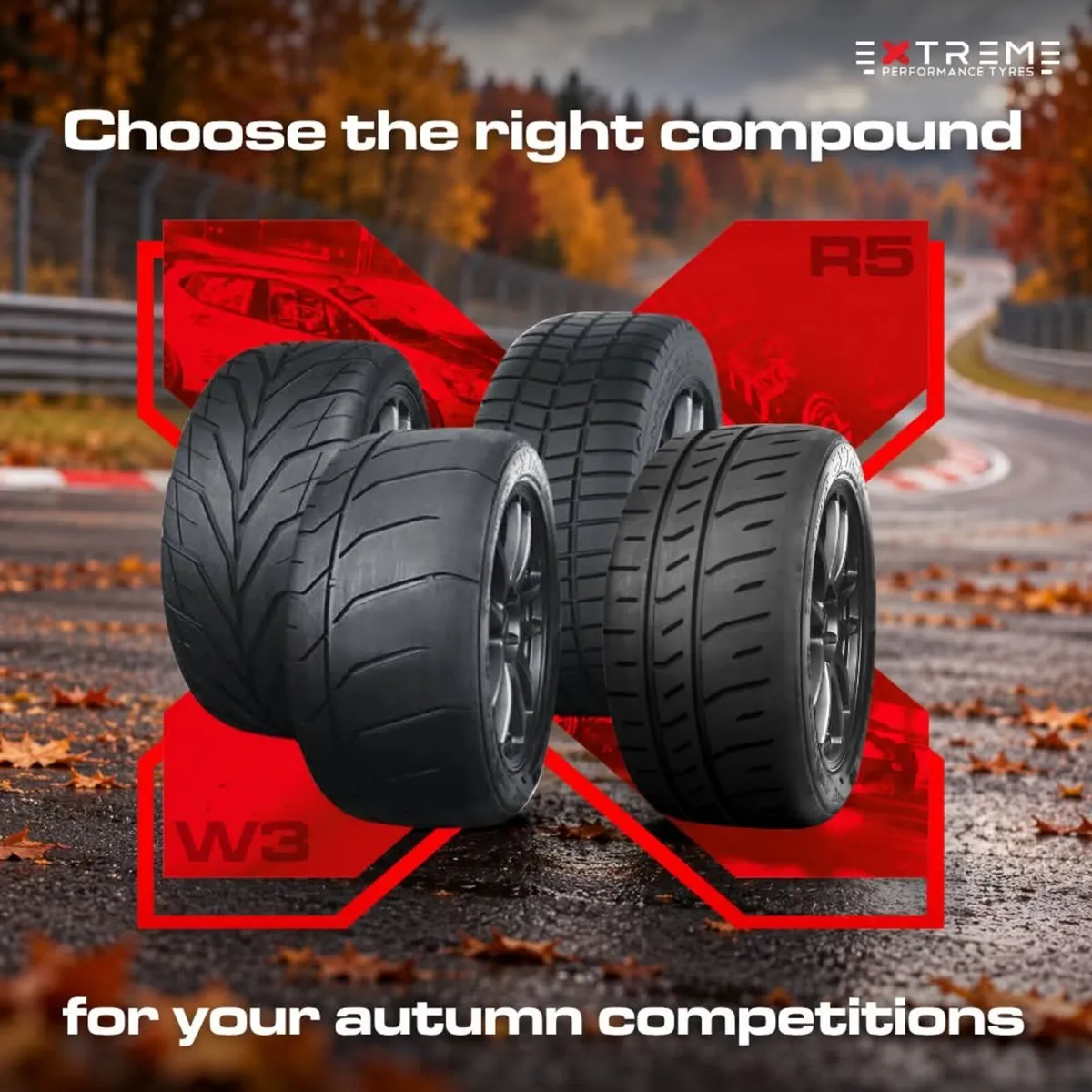 Track tyres - Extreme - Accelera - Image 1