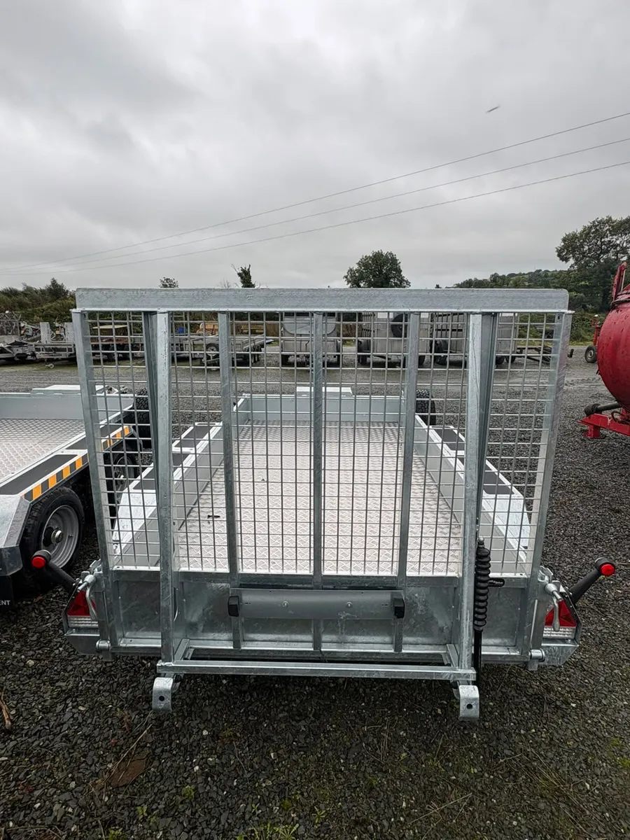 New Nugent Plant Trailer 12x6 - Image 4