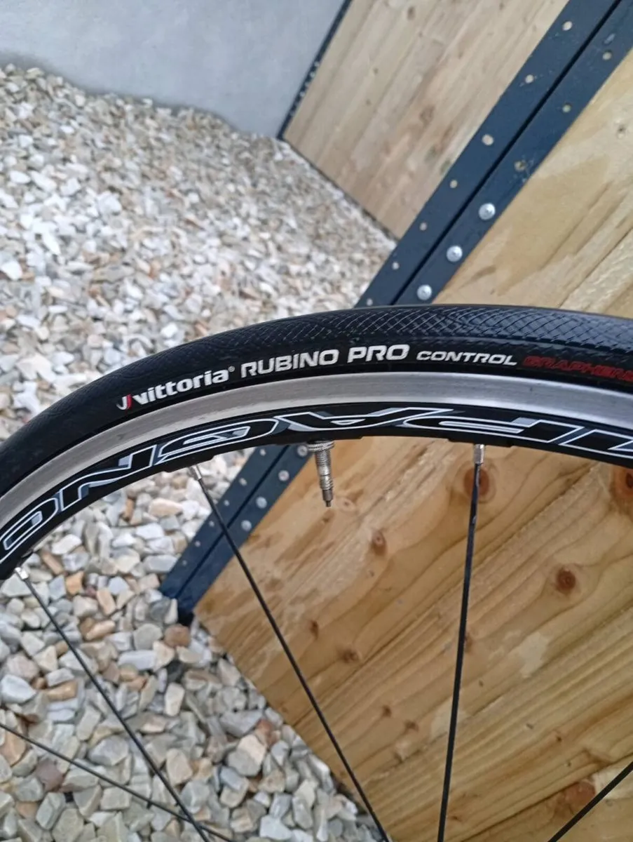 Colnago CLX - Image 2