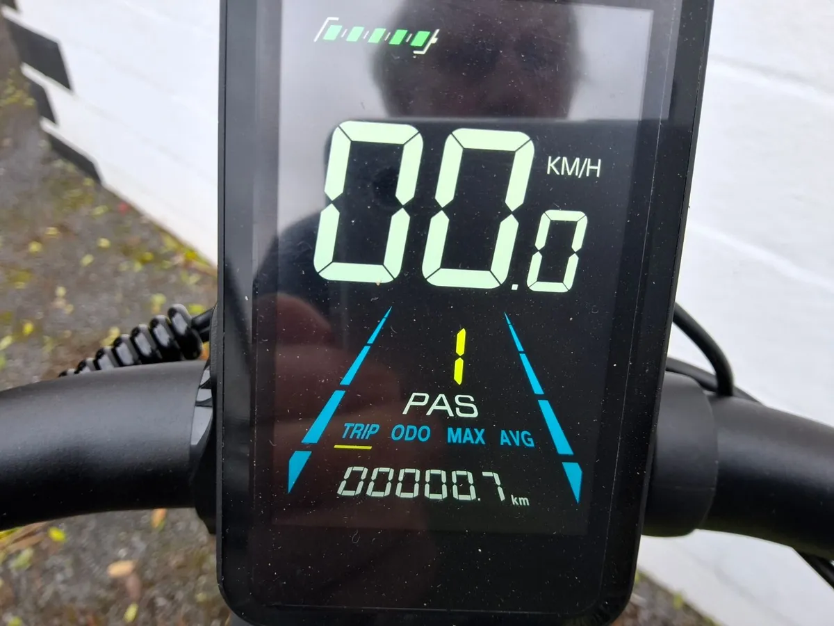Electric Bike - Image 2