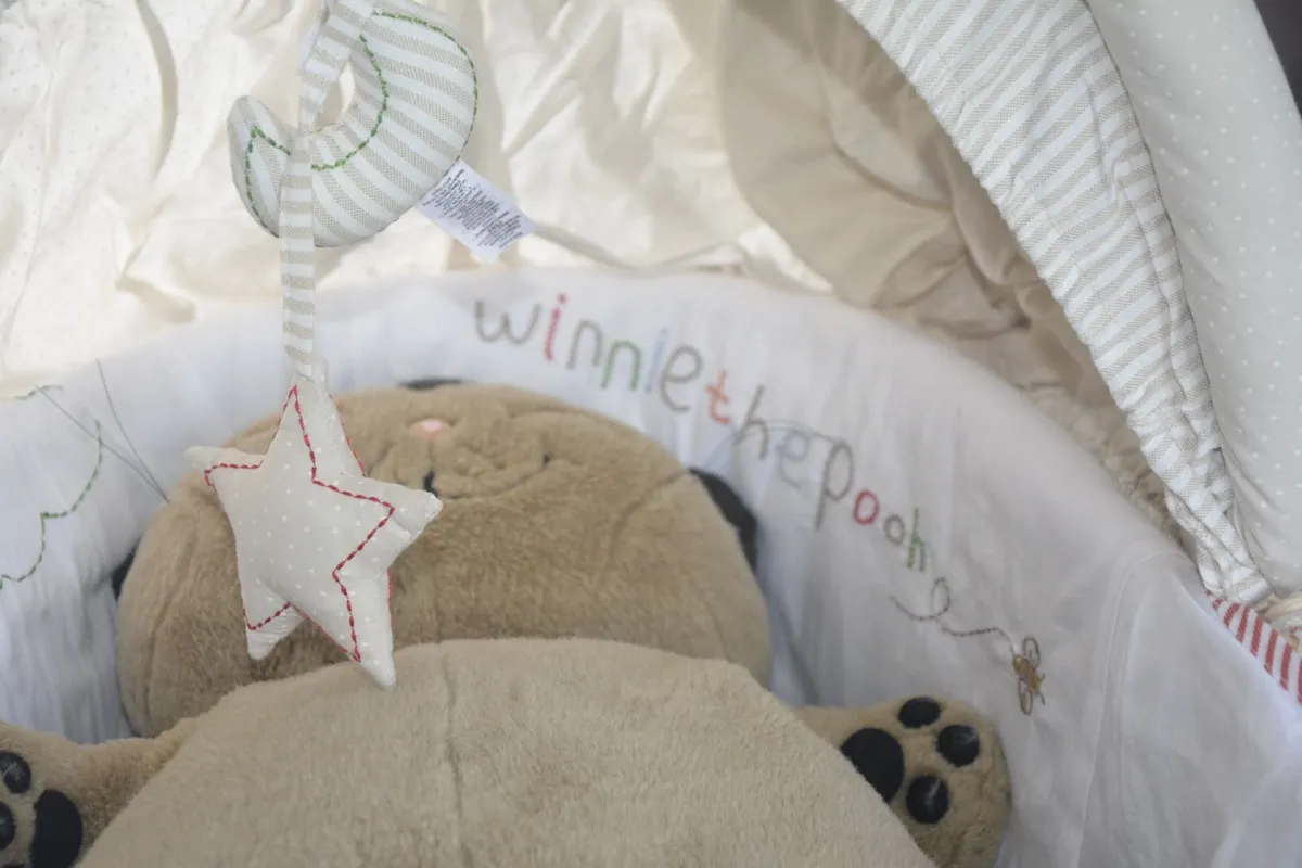 Moses basket whinie the pooh Disney Mothercare - Image 2