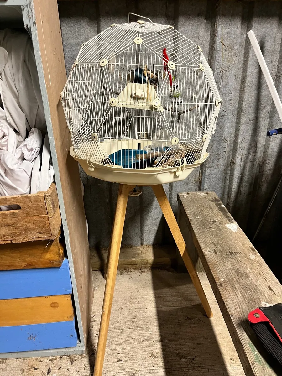 Omlet bird cage - Image 3