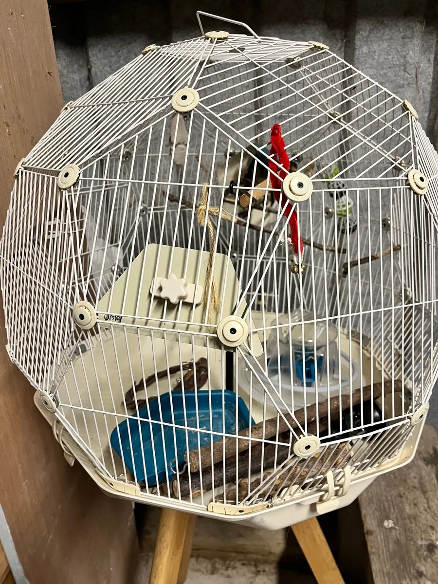 Omlet bird cage - Image 4
