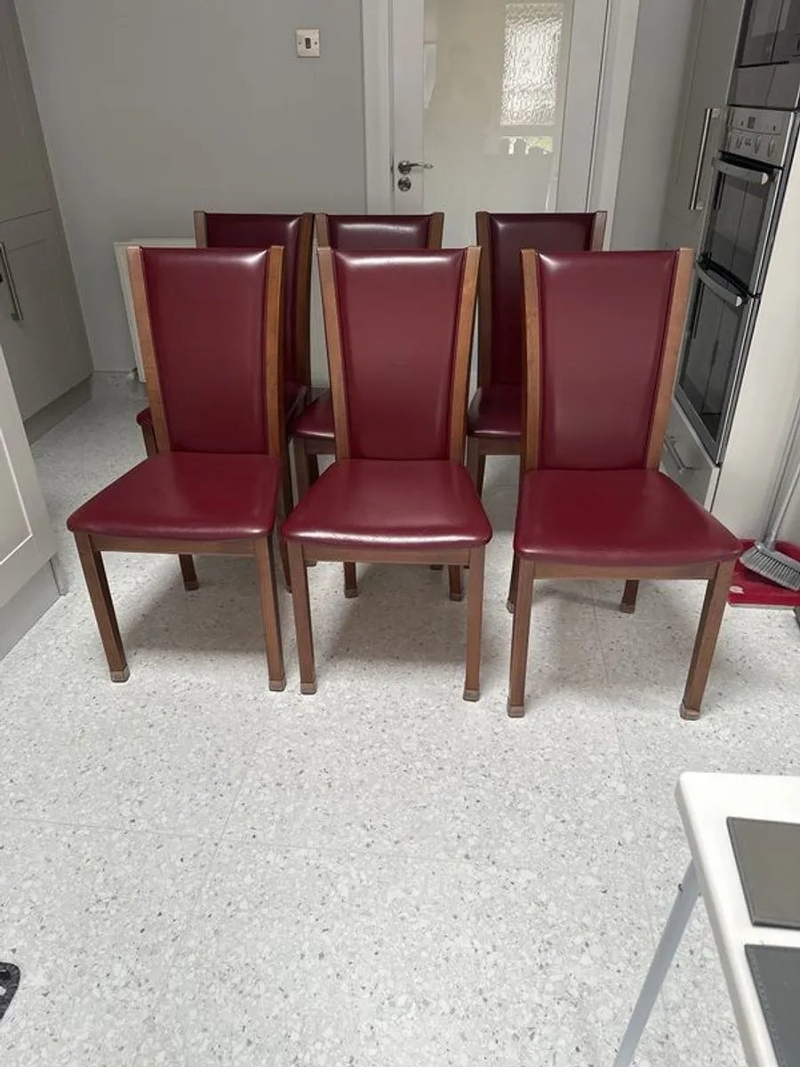 dining room chairs - Image 1