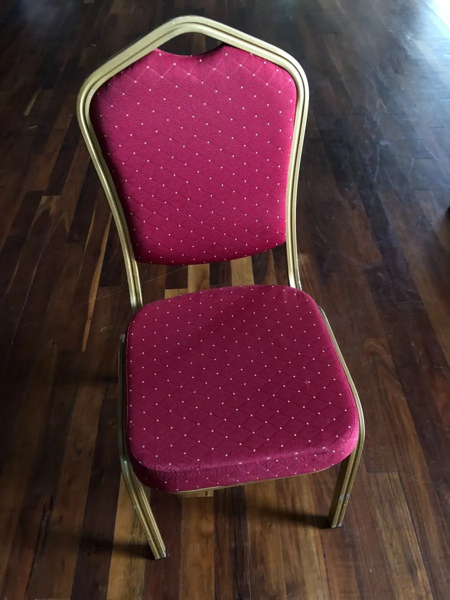 Function/Restaurant/Dining Chairs - Image 3