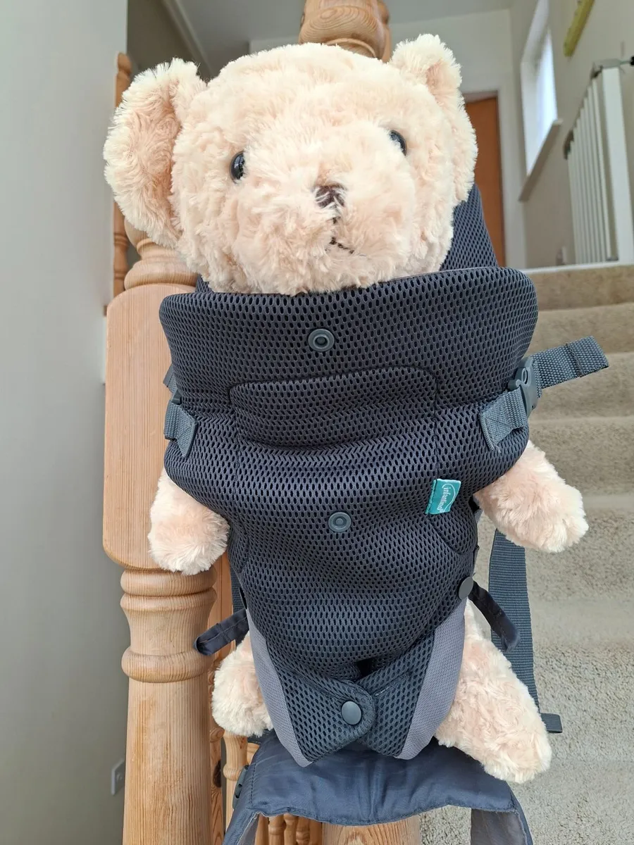 Baby Carrier - Image 3