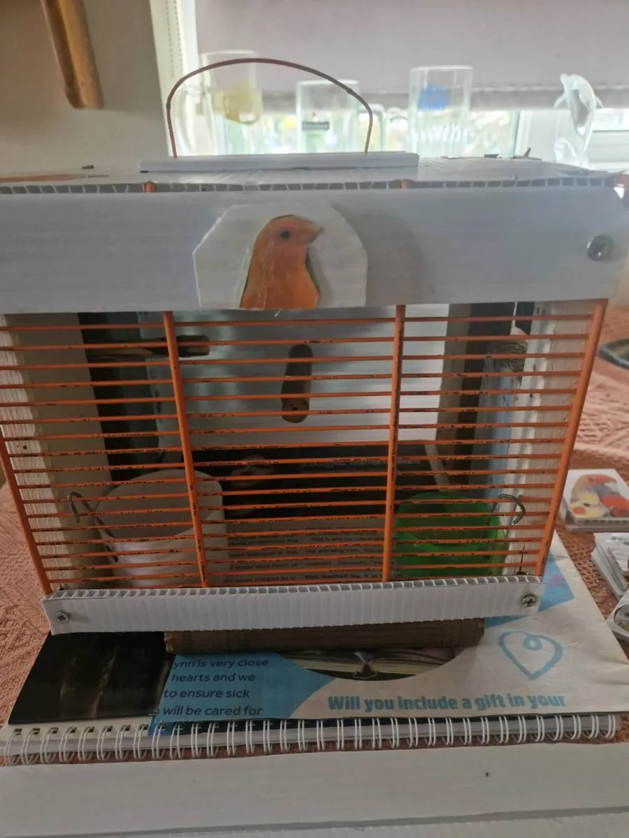 Transport box and budgies - Image 2