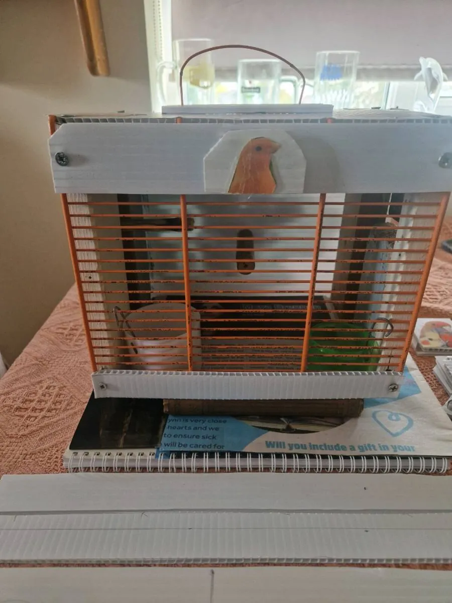 Transport box and budgies - Image 4