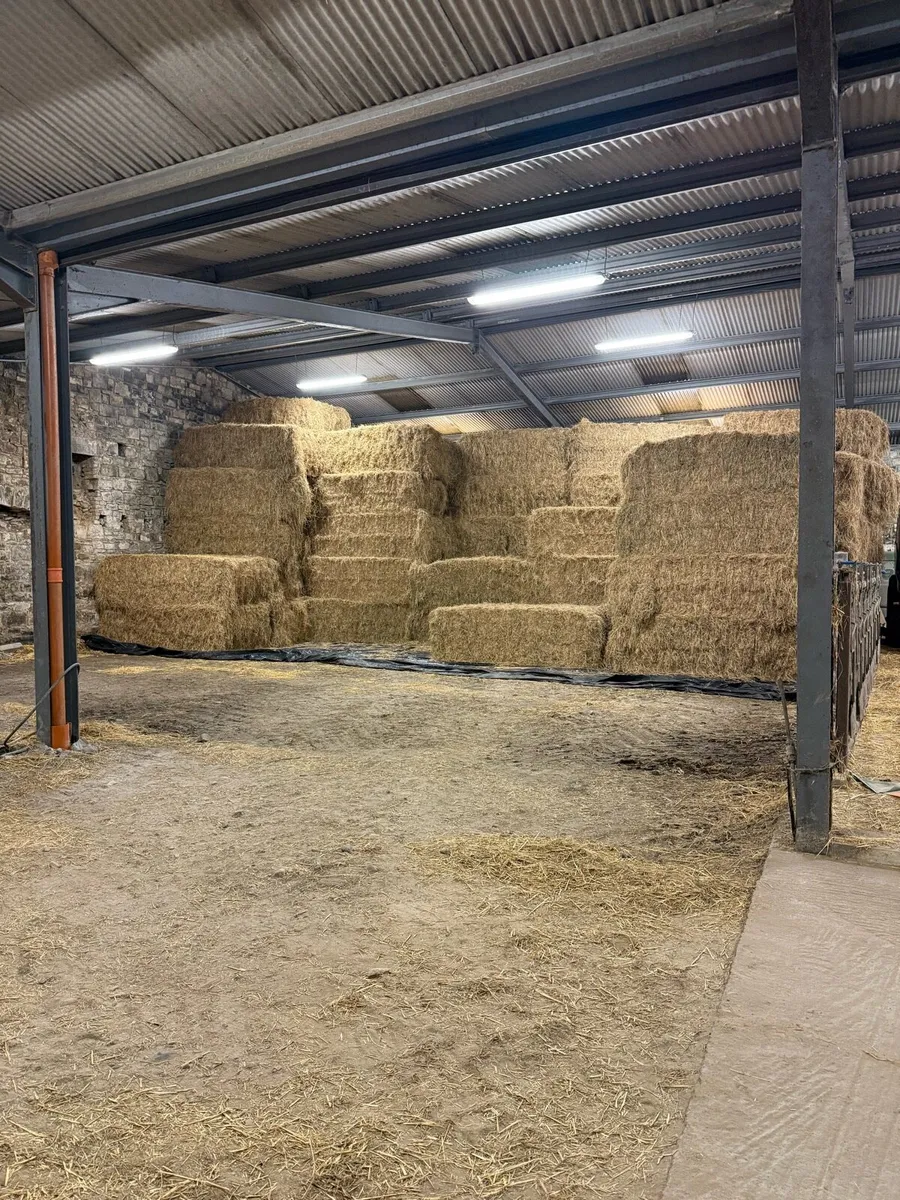 Hay & straw 8x4x3 - Image 1