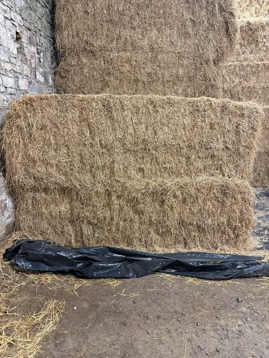Hay & straw 8x4x3 - Image 2