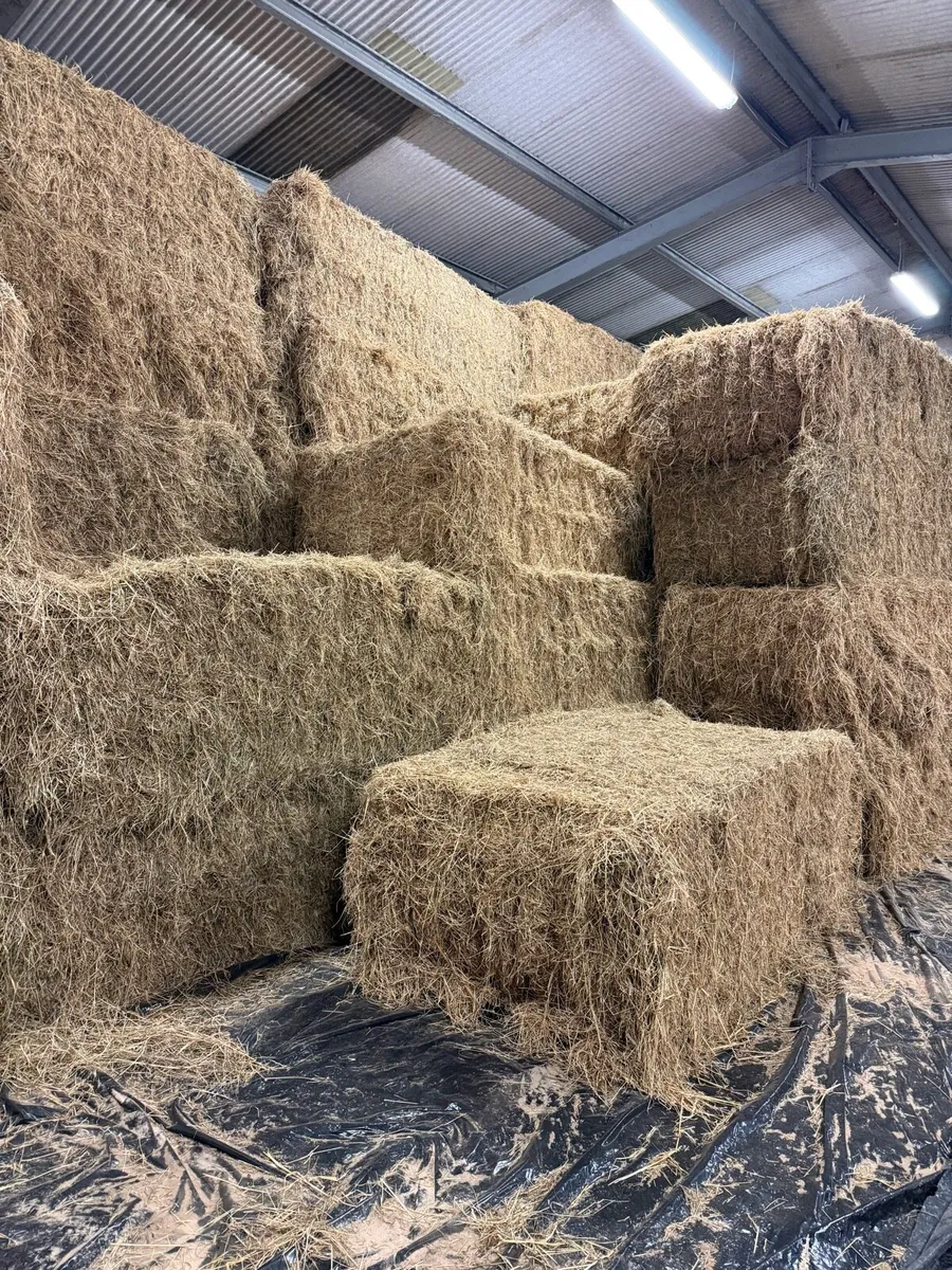 Hay & straw 8x4x3 - Image 3