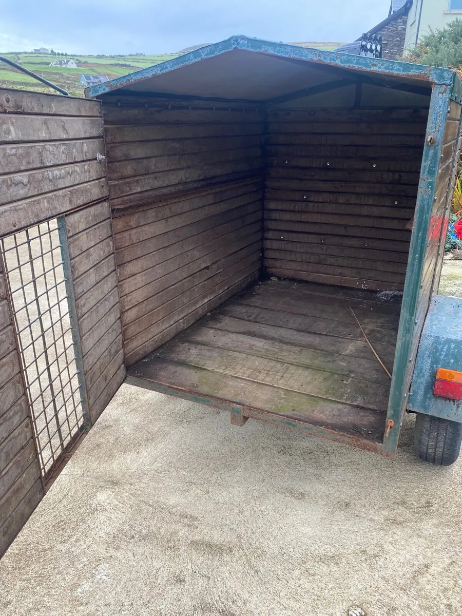Dog trailer - Image 4