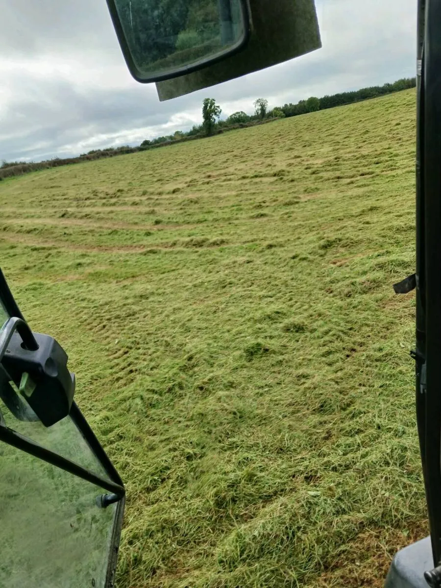 Silage bales - Image 1