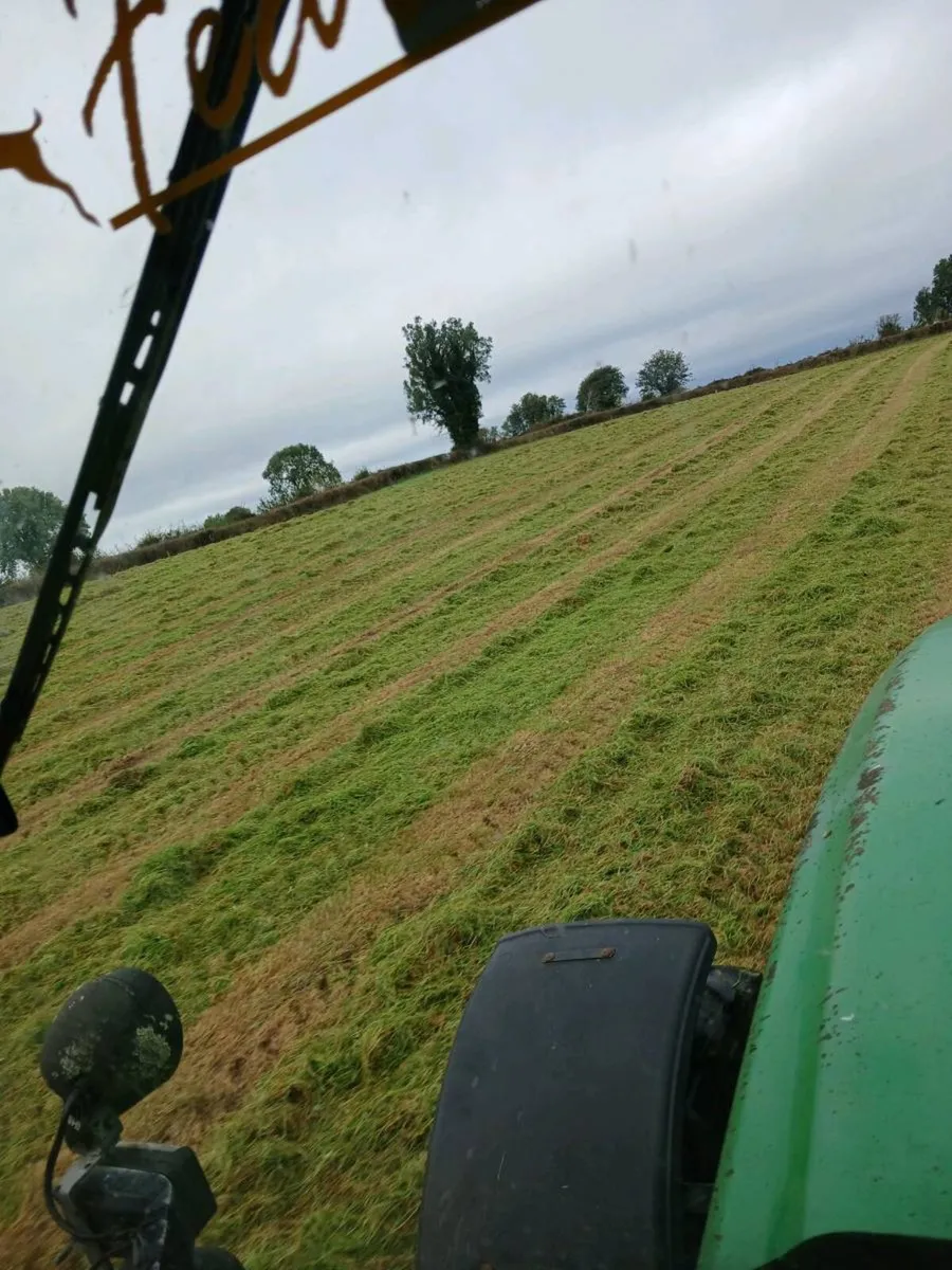 Silage bales - Image 2