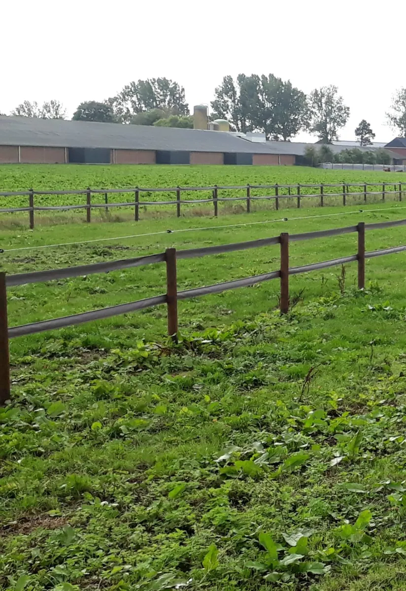 Equine Safety Fencing - Image 1