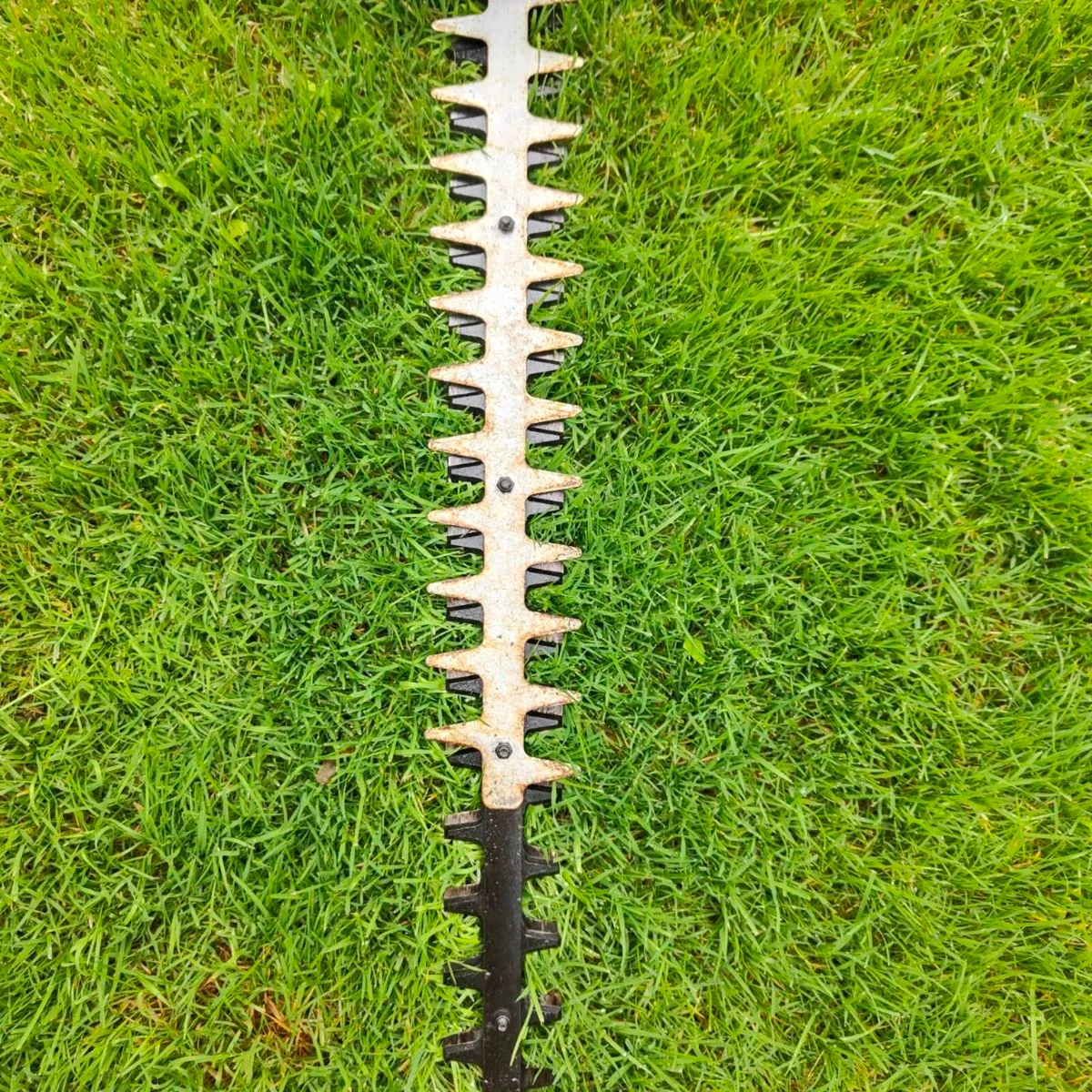 Hedge trimmer - Image 2