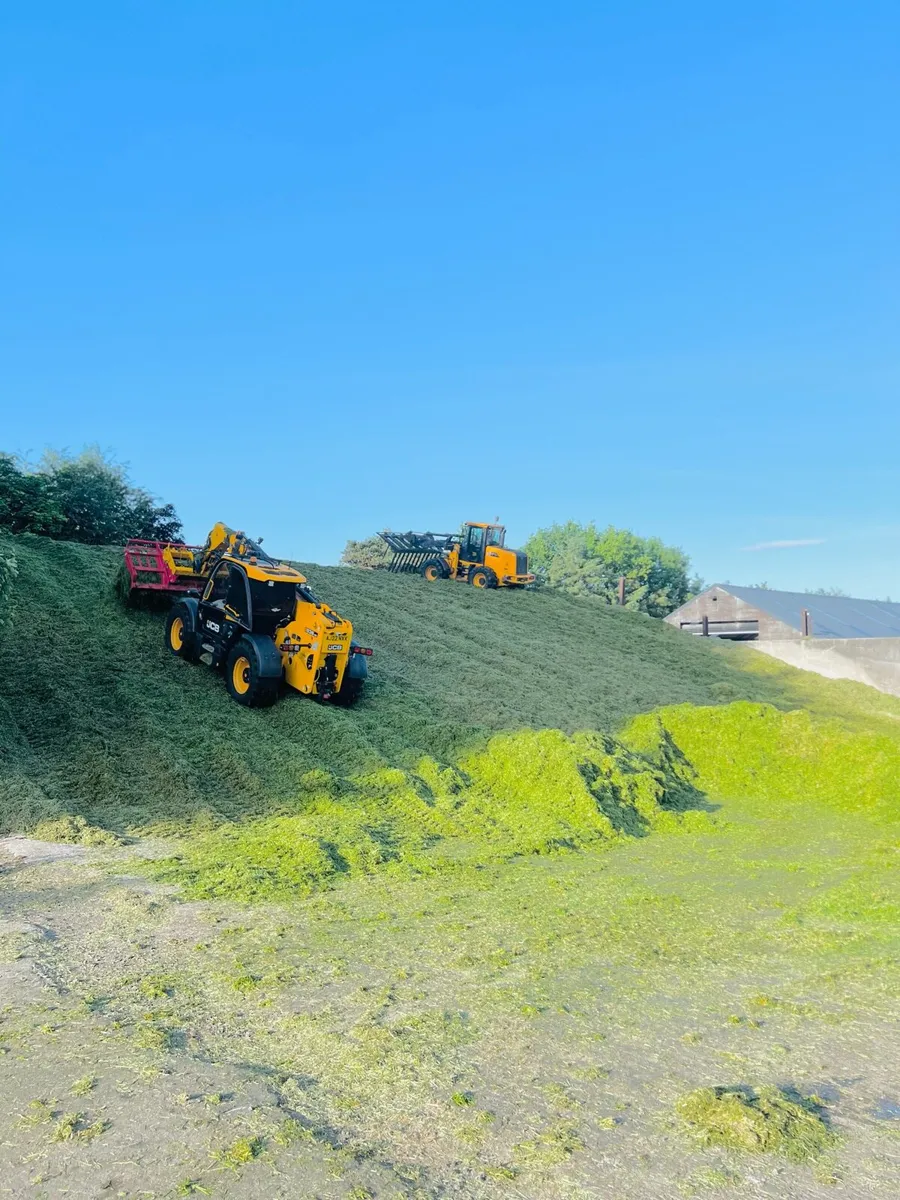 Pit silage for sale