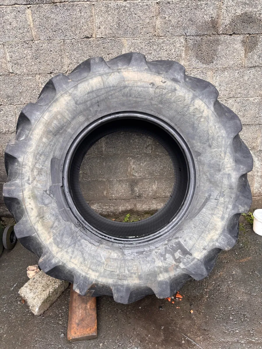 Michelin - Image 3