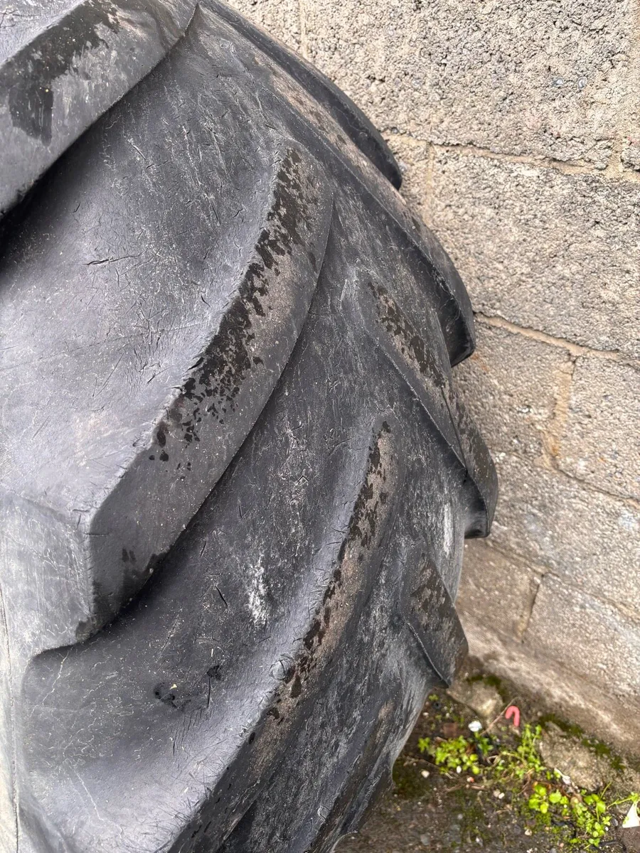 Michelin - Image 4