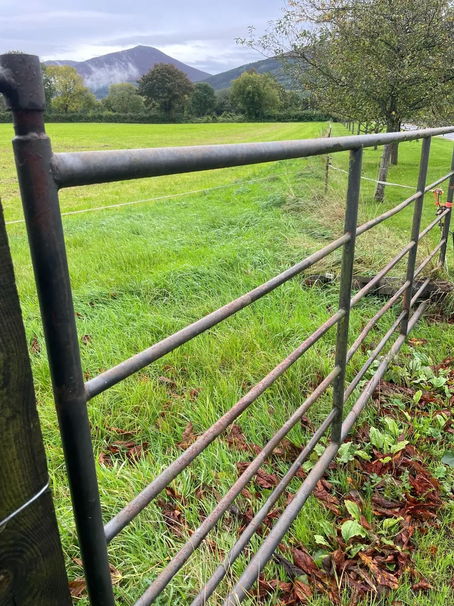12 ft (3m)   6 bar Gates (7 units) - Image 1