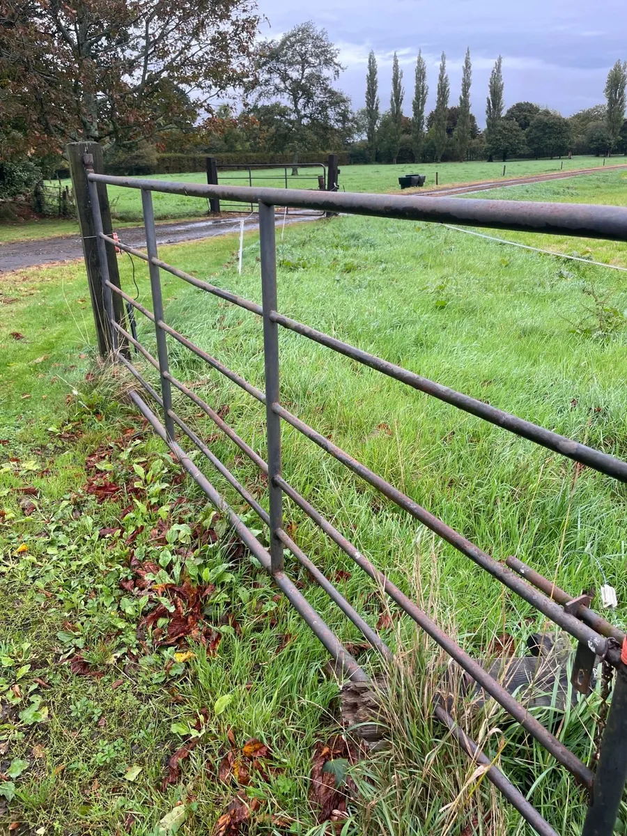 12 ft (3m)   6 bar Gates (7 units) - Image 3