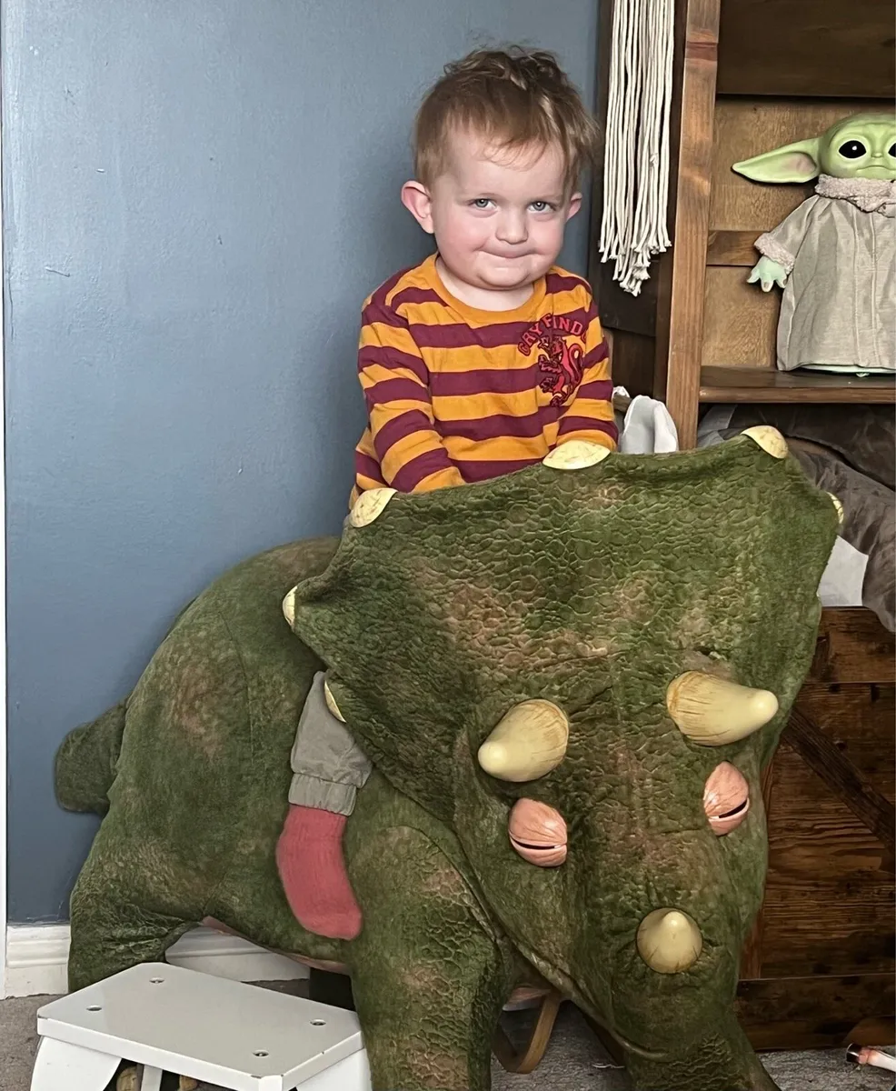 Ride on Dinosaur - Image 1