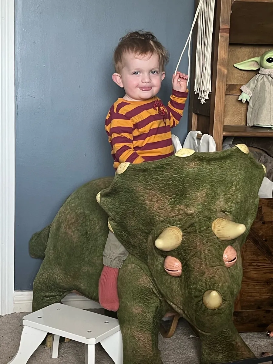 Ride on Dinosaur - Image 2