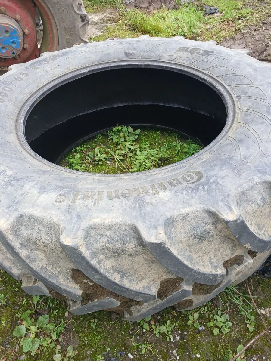 Tyre - Image 1