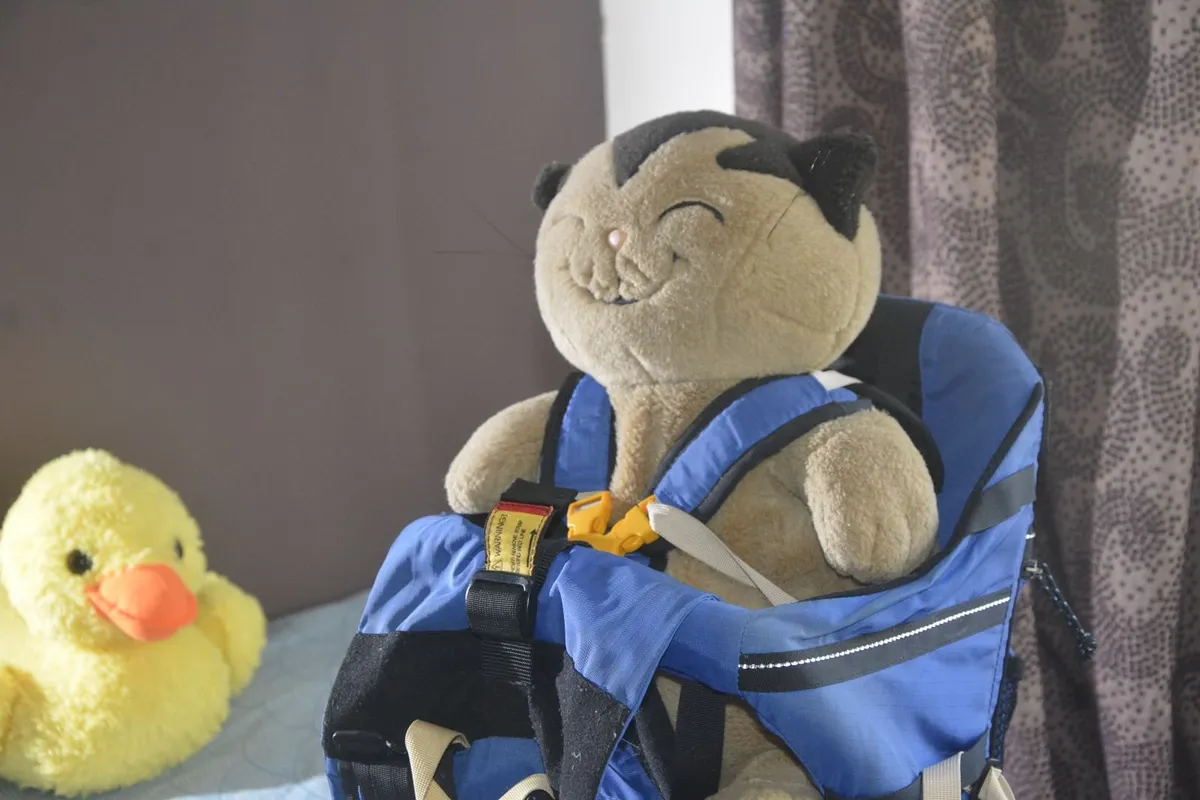 baby carrier backpack - Image 1