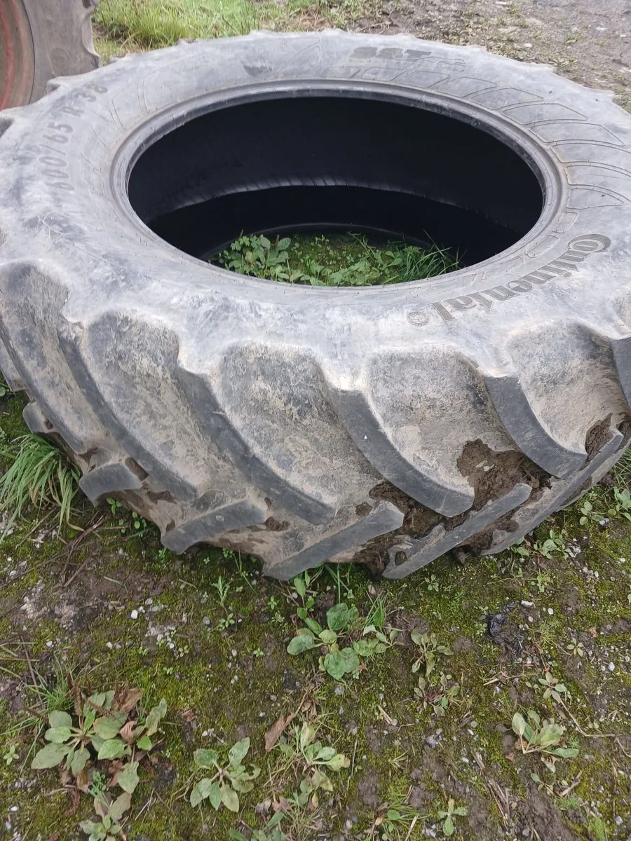 Tyre - Image 3