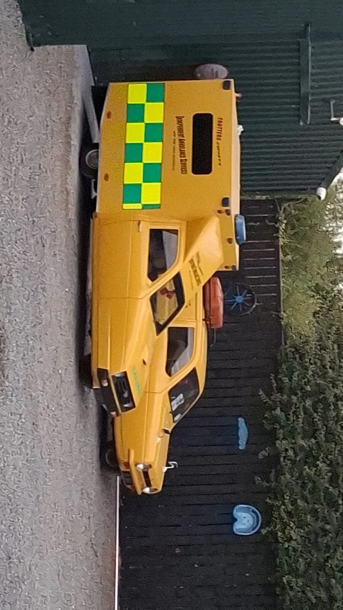 Robin reliant ambulance - Image 3