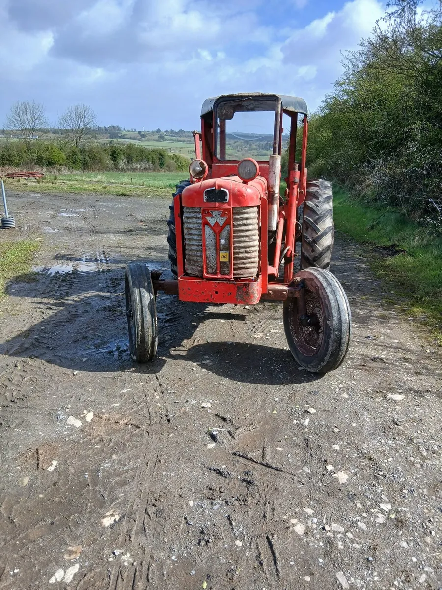 Massey Ferguson 65 - Image 3