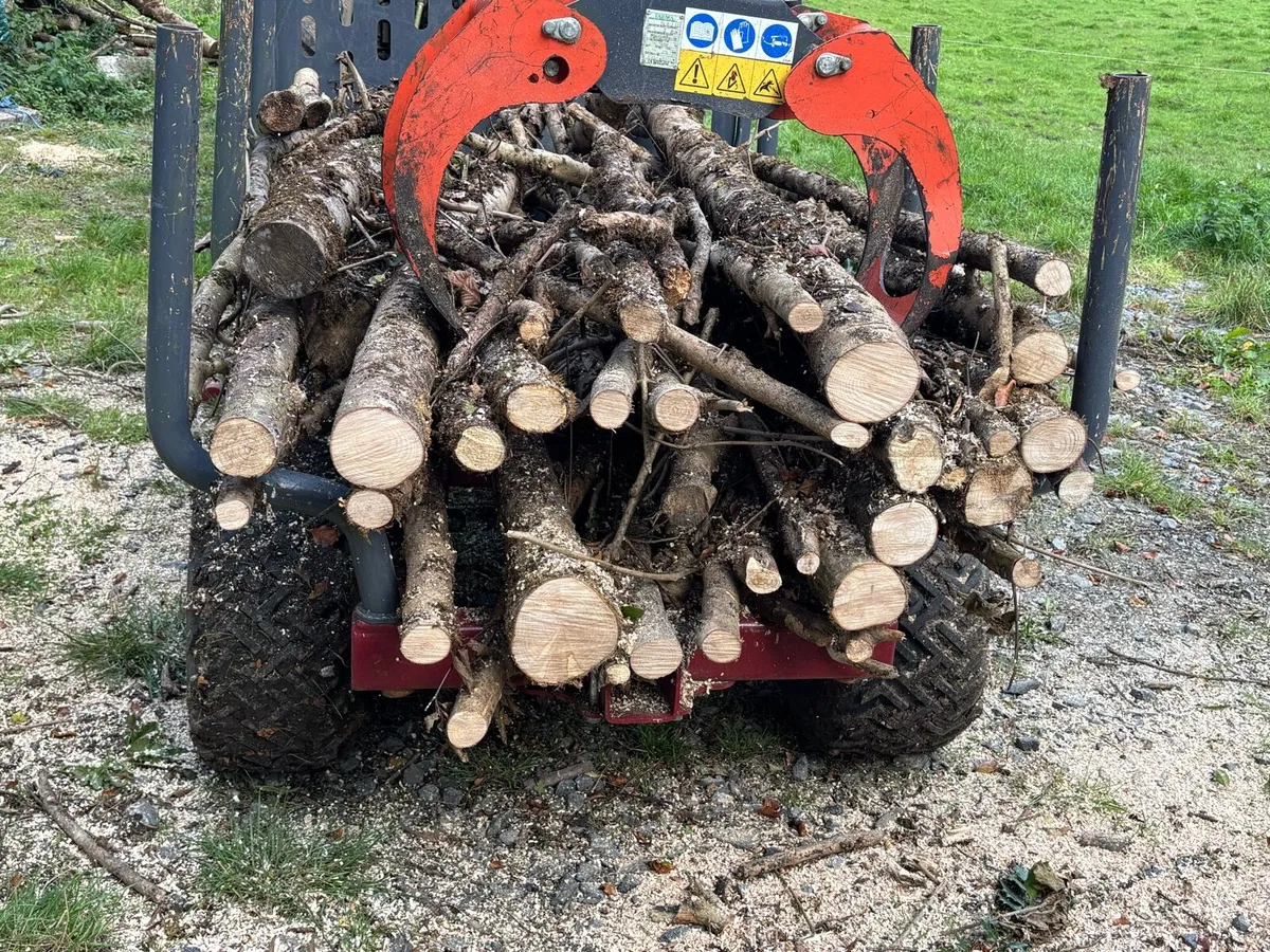 Sale agreed. Timber for sale Seasoned Ash - Image 4