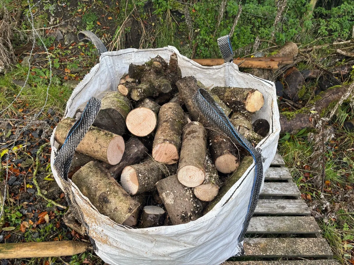 Sale agreed. Timber for sale Seasoned Ash - Image 3