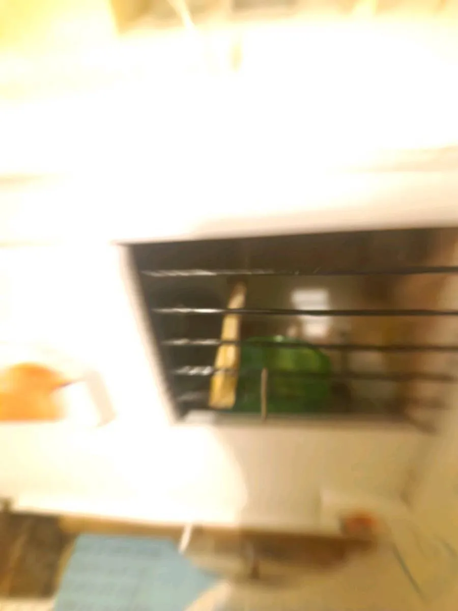 Bird transport cage - Image 2