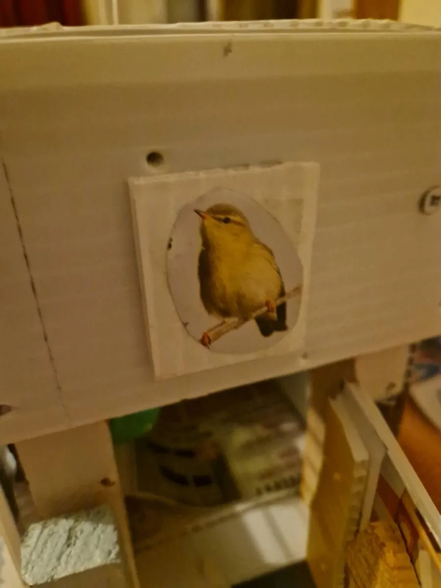 Bird transport cage - Image 3