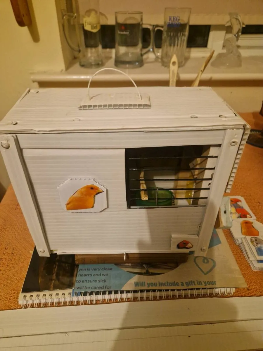 Bird transport cage - Image 4